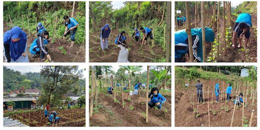 SMAN 1 Tuntang Olah Lahan Kosong Jadi Kebun Sayuran