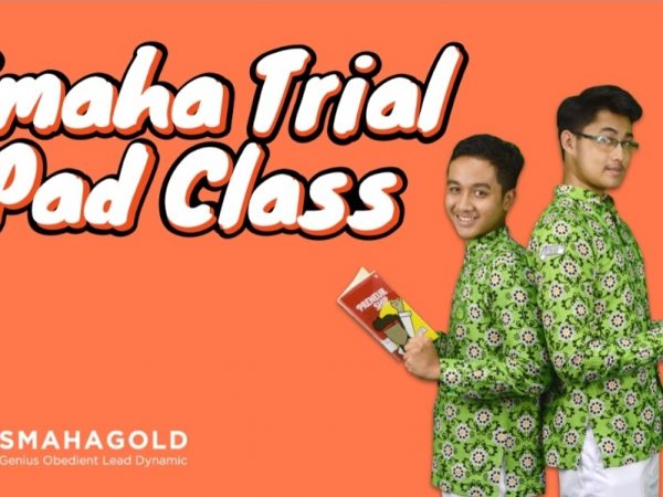 Smaha Trial iPad Class (STiC)