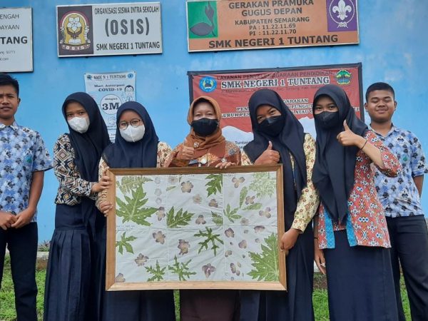 Eco Print Botanical untuk Hiasan Dinding