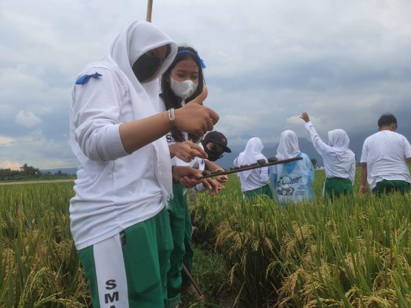 Berwirausaha, Cari Keong, Nyemplung Sawah; Keasyikan Outing Class SMAN 3 Semarang