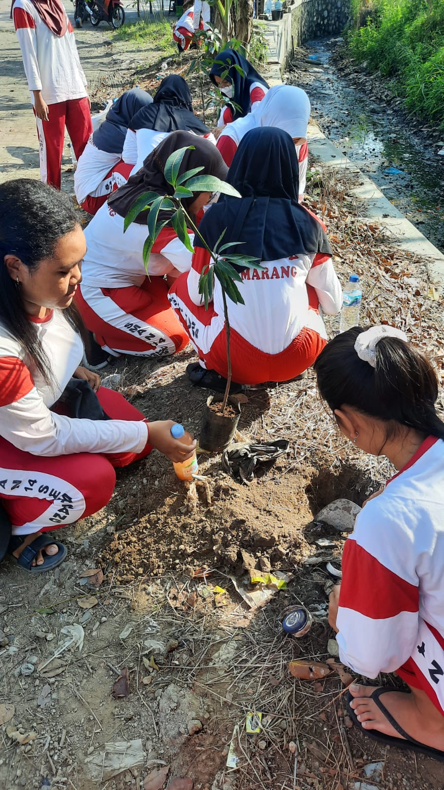 OSIS SMAN 14 Semarang Ikuti Penanaman Pohon OSIS SMAN 14 Semarang Ikuti Penanaman Pohon