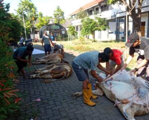 SMKN 10 Semarang Gelar Qurban dalam Rangka Perayaan Idul Adha